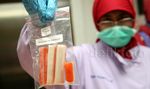 Jelang Lebaran, BPOM Lakukan Sidak Makanan