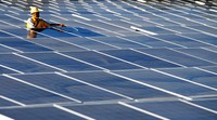 Petugas merawat panel Pembangkit Listrik Tenaga Surya (PLTS) Daruba. Agus Trimukti/Humas PLN/detikFoto.