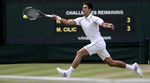 Gasquet Hadapi Djokovic di Semifinal Wimbledon