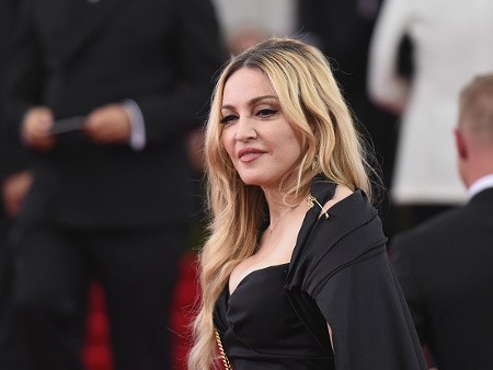 Retas Komputer Madonna, Mantan Israel Idol Ini Dipenjara
