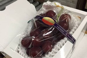 Satu Tangkai Anggur dari Jepang Ini Laku Dilelang Seharga Rp.109 Juta!