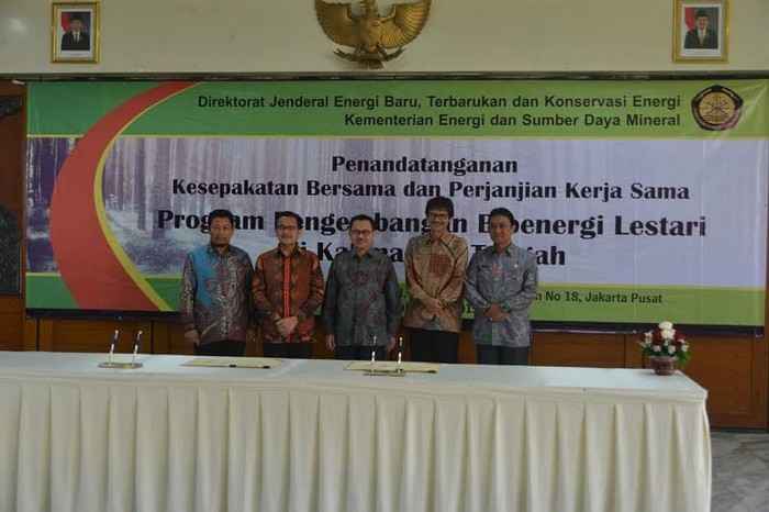 Lahan Bekas Tambang di Kalteng Jadi Proyek Tanaman Energi Alternatif