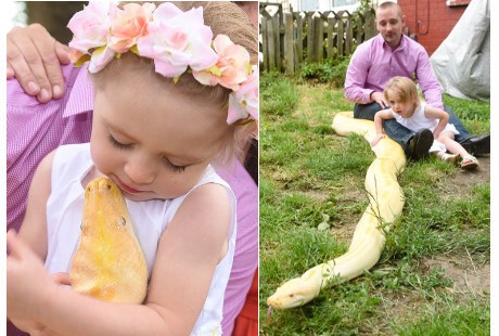 Sejak Kecil, Balita Kakak Beradik Ini Sudah Bersahabat dengan Pyton