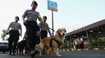 Anjing Pelacak Amankan Arus Mudik di Stasiun Senen