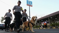 Tim K-9 dari Polda Metro Jaya melakukan sterilisasi Stasiun Senen.