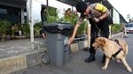 Anjing Pelacak Amankan Arus Mudik di Stasiun Senen