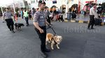 Anjing Pelacak Amankan Arus Mudik di Stasiun Senen