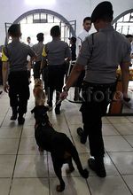 Anjing Pelacak Amankan Arus Mudik di Stasiun Senen