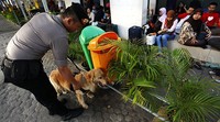 Anjing pelacak itu disiagakan untuk menyisir sejumlah tempat di Stasiun Senen.