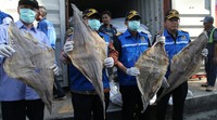 Bea Cukai menunjukkan sejumlah produk yang dijadikan barang bukti upaya ekspor ilegal tersebut di Hi Co Scan‎ Container Terminal JICT I Tanjung Priok, Jakarta Utara, Senin (13/7/2015).