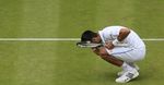 Djokovic Kunyah Rumput Wimbledon