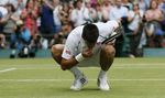 Djokovic Kunyah Rumput Wimbledon