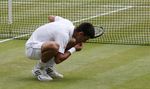 Djokovic Kunyah Rumput Wimbledon