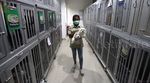 Jelang Lebaran Jasa Penitipan Hewan Ramai