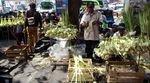 Penjual Kulit Ketupat Panen Rezeki