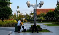 Tanaman di Taman Surya tumbuh subur dan rindang
