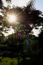 Mudik ke Surabaya, Tengok Taman Surya yang Asri
