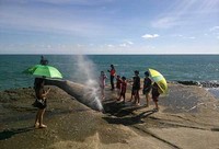 Seruling samudera, salah satu peristiwa alam berupa semburan air yang terdorong ke udara dari celah batuan. Para pengunjung pun datang dari berbagai penjuru untuk melihat keunikannya (Randy/detikTravel)