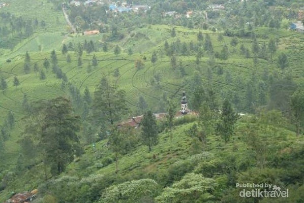 Libur Lebaran Hari Kedua: Kawasan Puncak Dipadati Wisatawan