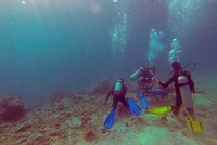 Diving merupakan salah satu kegiatan yang dapat dilakukan di Iboih. Tidak perlu repot-repot menyewa alat selam, karena sudah terdapat dive centre untuk wisatawan (Randy/detikTravel)