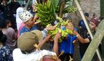 Serunya Ikut Arak-arakan Barong Ider Bumi