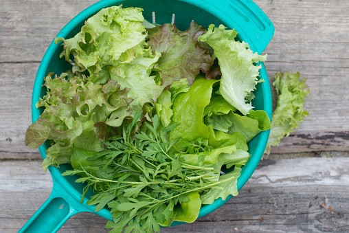 Begini Cara Mencuci Brokoli, Alpukat, dan Cabai yang Benar! (2)