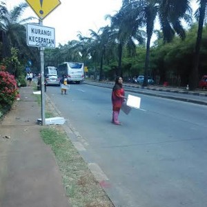 Ragunan Ramai Pengunjung, Pedagang Tikar Dadakan Raup Rp 1 Juta/hari