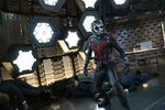 Intip Aksi Anggota Asli The Avengers 'Ant-Man'