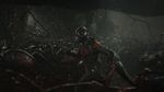 Intip Aksi Anggota Asli The Avengers 'Ant-Man'
