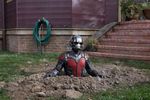 Intip Aksi Anggota Asli The Avengers 'Ant-Man'
