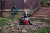 Penasaran dengan kelanjutan ceritanya? jangan lupa saksikan film 'Ant-Man' yang sudah tayang di bisokop-bioskop kesayangan Anda. (Dok Marvel Studios)