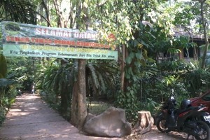 Back to Nature di Kampung 99 Pepohonan Depok