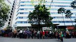 Ribuan Guru Honorer Antre untuk Jadi PNS