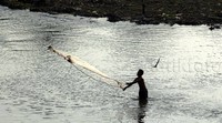 Di dalam kali, nampak beberapa warga setempat sedang menjaring ikan.