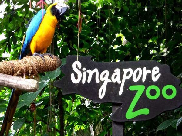 Soal Kebersihan, 4 Kebun Binatang di ASEAN Ini Perlu Dicontoh