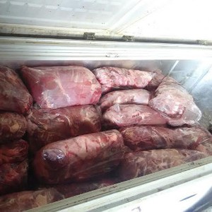 Aksi Darurat Daging Celeng