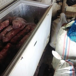 Ini Bahayanya Daging Celeng