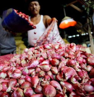 Harga Bawang di Jakarta Rp 25.000, di Brebes Rp 10.000/Kg
