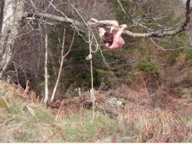 Garap Video Art, Seniman Hilde Huse Tergantung 3 Jam di Atas Pohon