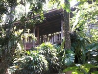 Kampung 99 Pepohonan merupakan destinasi wisata hijau di Depok. Lokasinya di depan Masjid Kubah Emas. Belok kiri di depan masjid yang terkenal itu dan ikuti Jl KH Muhasan hingga sampai ke lokasi (Wahyu/detikTravel)