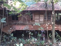 Traveler juga bisa menyewa salah satu guesthouse yang disediakan pihak pengelola. Bentuk rumahnya panggung dan terbuat dari kayu. Satu rumah terdiri dari dua kamar dengan tarif mencapai Rp 1,5 Juta per malam (Wahyu/detikTravel)