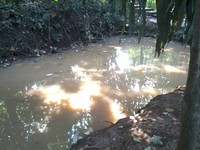 Ada banyak permainan seru untuk anak-anak salah satunya ada arena kolam tangkap ikan ini. Anak-anak bisa mencoba menangkap dengan tangan. Ada mujair, tawas, dan sepat. Dijamin seru! (Wahyu/detikTravel)