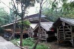 Liburan Hijau Ala Kampung 99 Pepohonan Depok
