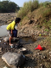 Air yang didapat di sungai itu diangkut menggunakan jerigen.