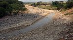 Kemarau, Air Sungai Cipamingkis Mengering