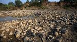 Kemarau, Air Sungai Cipamingkis Mengering