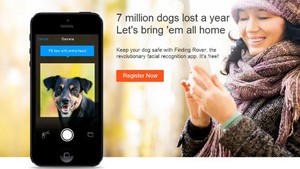 Aplikasi Pengenalan Wajah Bisa Temukan Anjing Hilang