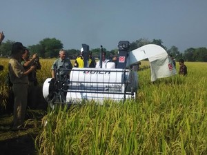 Serap Panen Padi Petani, Mentan: Bulog Punya Rp 3 Triliun