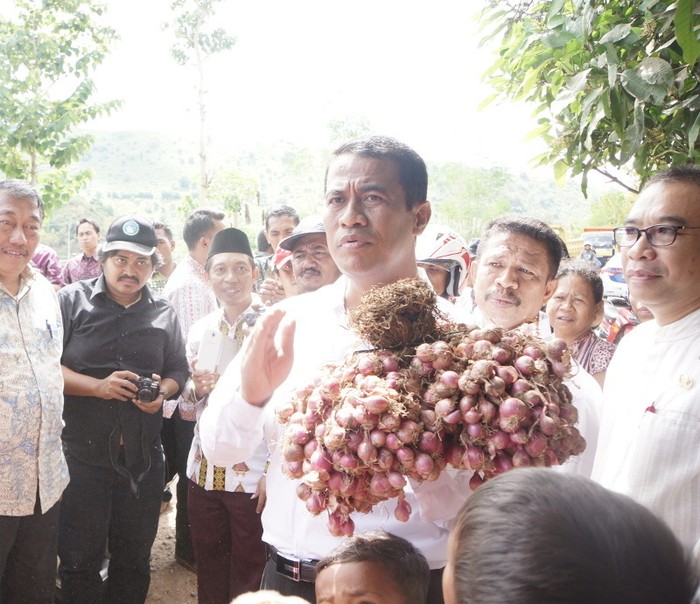 Blusukan ke Jateng, Mentan Tinjau Lahan Kering dan Rakor Swasembada