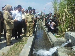 Produksi Padi Naik, Sragen Dapat Kenaikan Anggaran Pertanian 200%